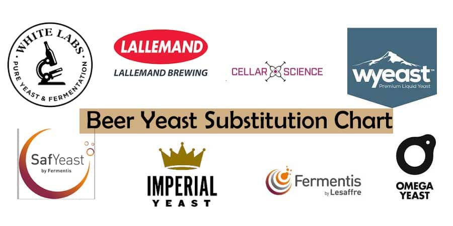 beer yeast substitution